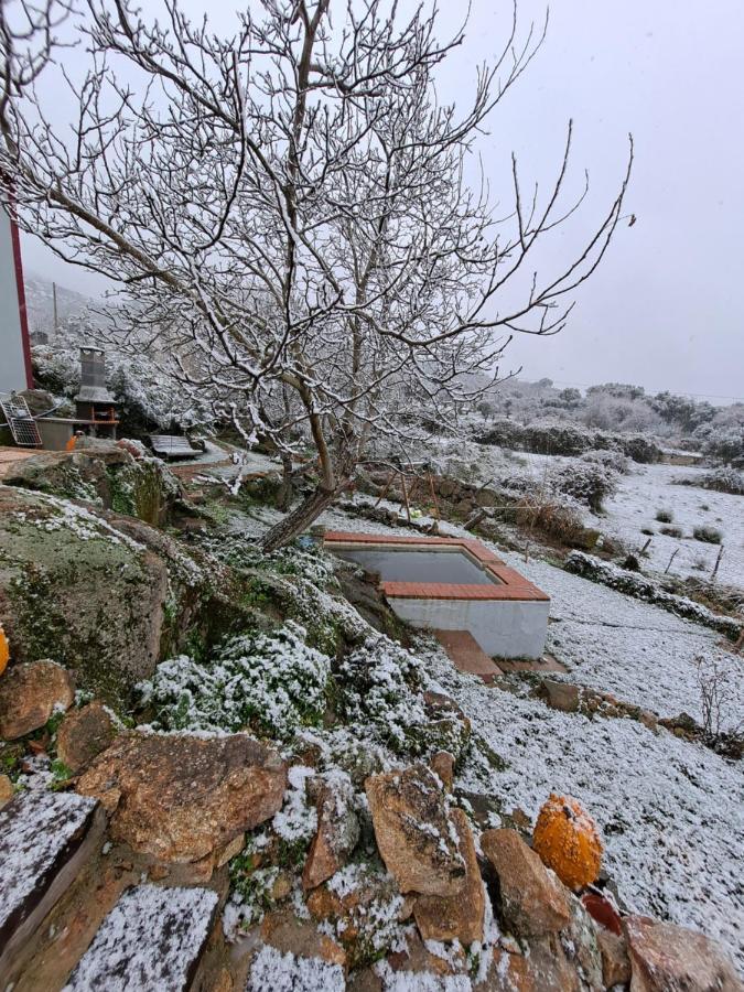 Casa Da Vizinha, Quinta Das Memorias Santo António das Areias Zewnętrze zdjęcie